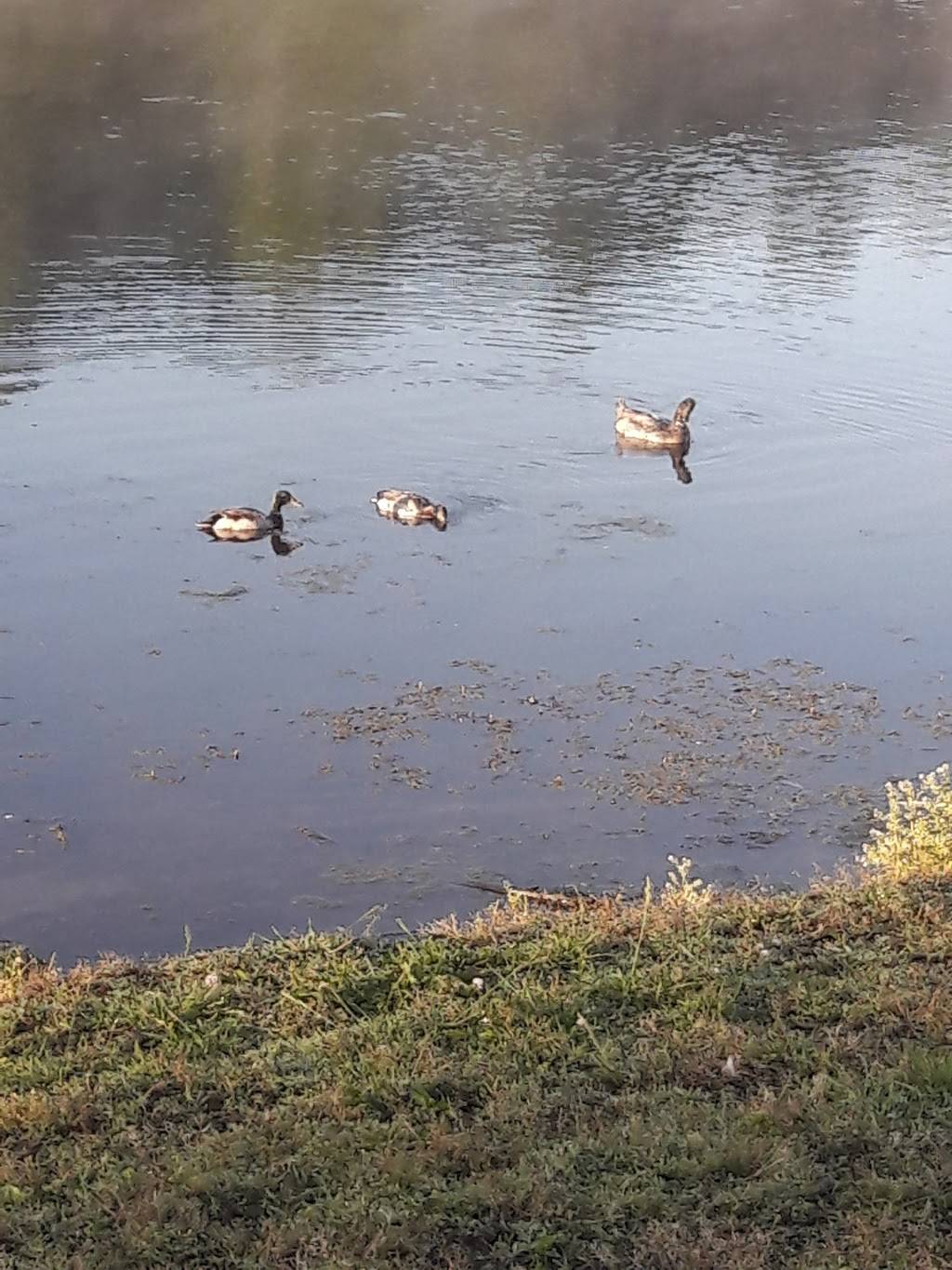 Traditions Restaurant | restaurant | 5 Par Dr, Warrensburg, MO 64093, USA | 6605438694 OR +1 660-543-8694