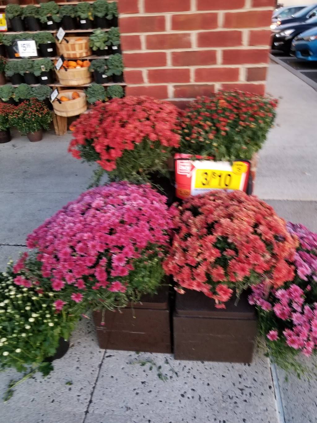 Warwick Square | shopping mall | 2395 York Rd, Jamison, PA 18929, USA | 6107471200 OR +1 610-747-1200