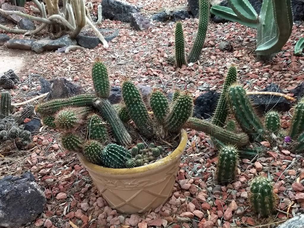 BeDillon`s Restaurant | restaurant | 800 N Park Ave #3933, Casa Grande, AZ 85122, USA | 5208362045 OR +1 520-836-2045