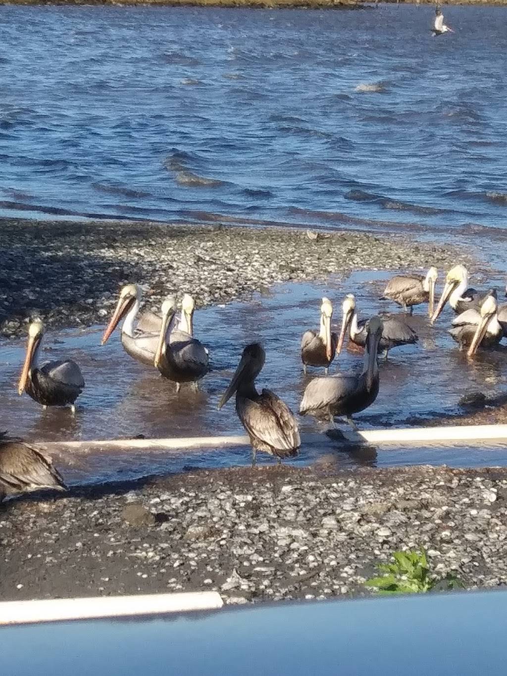 Subway | meal takeaway | 2910 Hardy St, Hattiesburg, MS 39401, USA | 6012641473 OR +1 601-264-1473