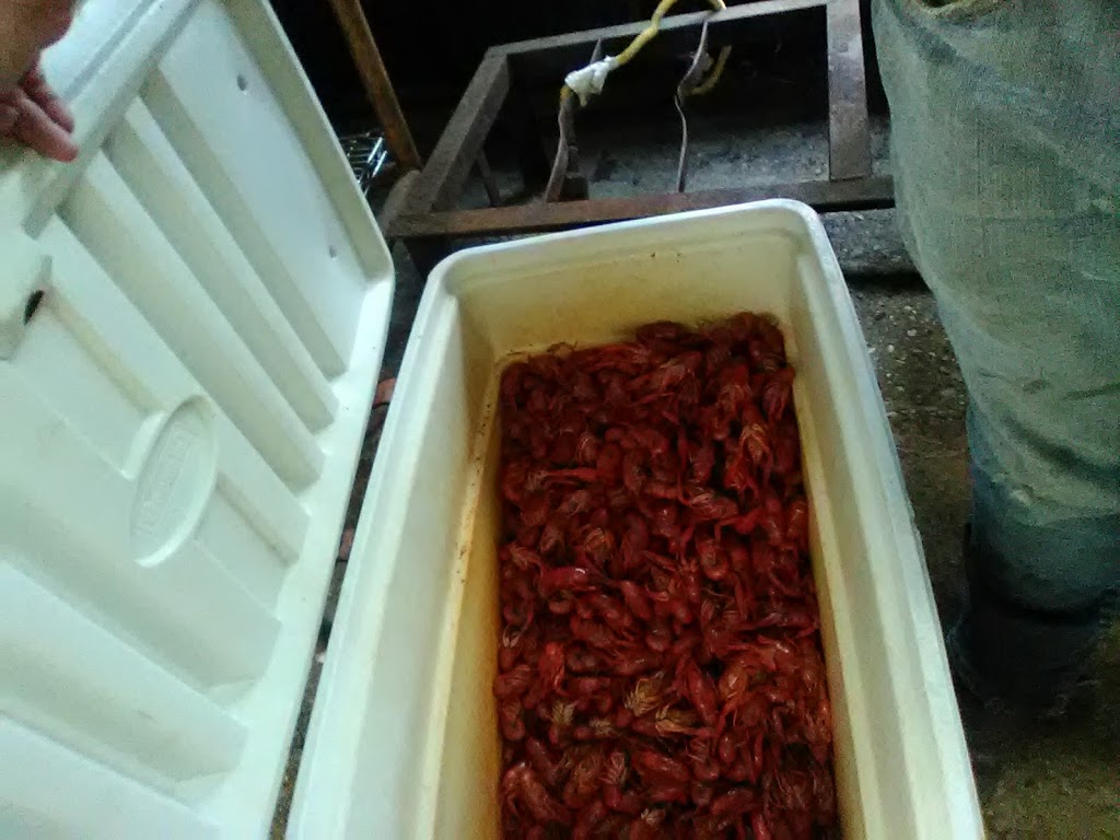 Sevins | restaurant | 1110 Sterlington Hwy, Farmerville, LA 71241, USA | 3183682400 OR +1 318-368-2400