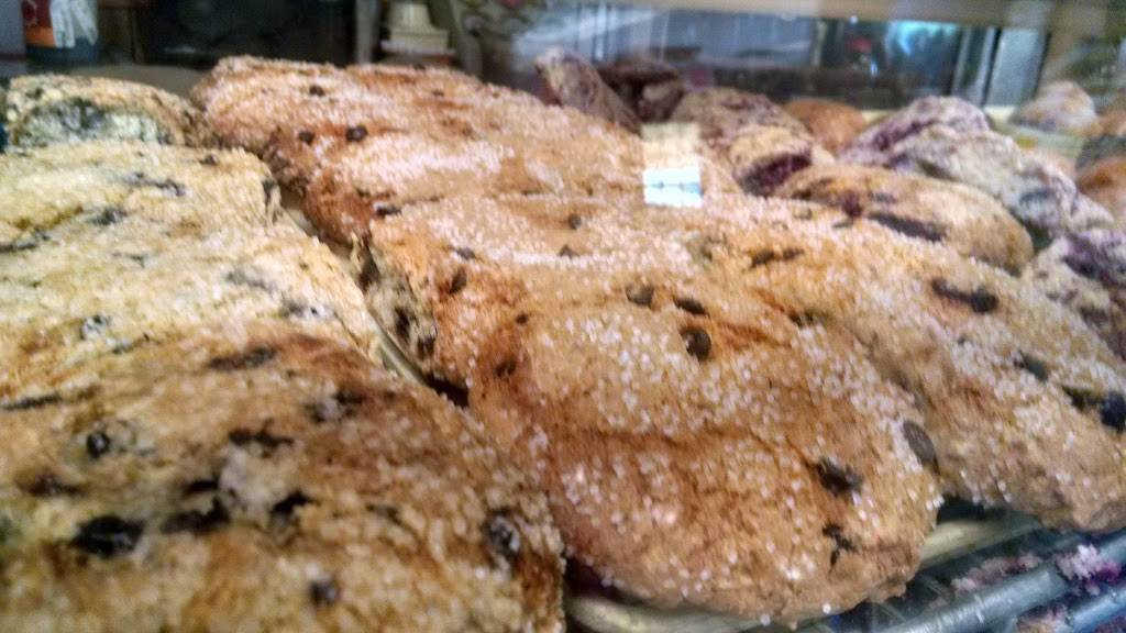 The Fort | restaurant | 151 Heater Rd, Lebanon, NH 03766, USA | 6034485512 OR +1 603-448-5512