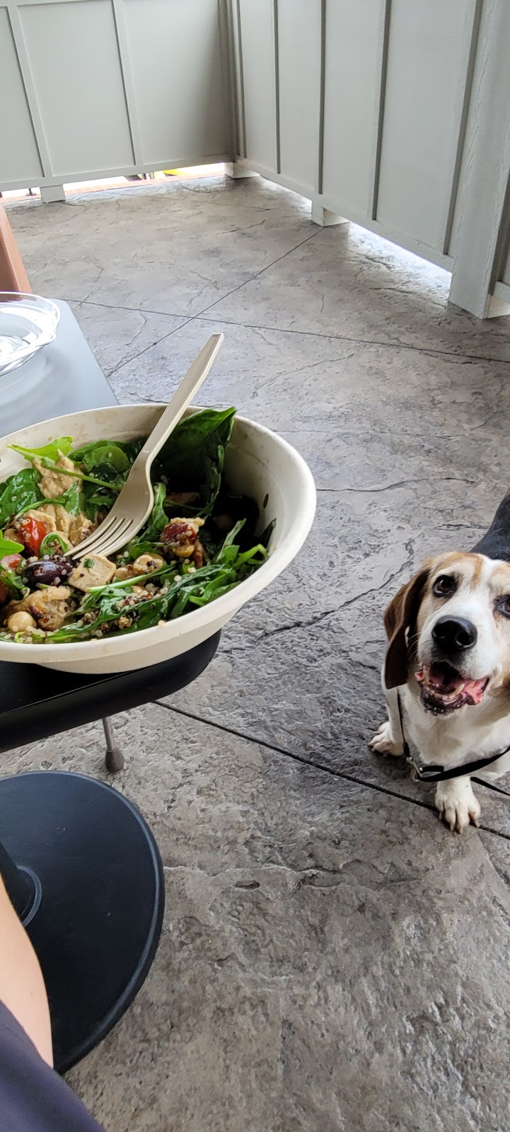 Harvest Kitchen | restaurant | 112 Cannon St, Greer, SC 29651, USA | 8644697181 OR +1 864-469-7181