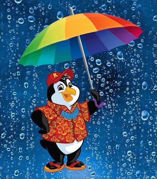 Kona Ice of Flagler County | restaurant | 4601 E Moody Blvd D-2, Bunnell, FL 32110, USA | 3867935662 OR +1 386-793-5662