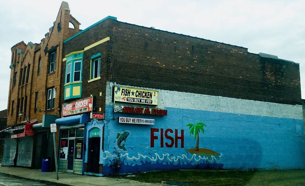 Blue Fish & Chicken | restaurant | 11611 Linwood St, Detroit, MI 48206, USA | 3138658215 OR +1 313-865-8215