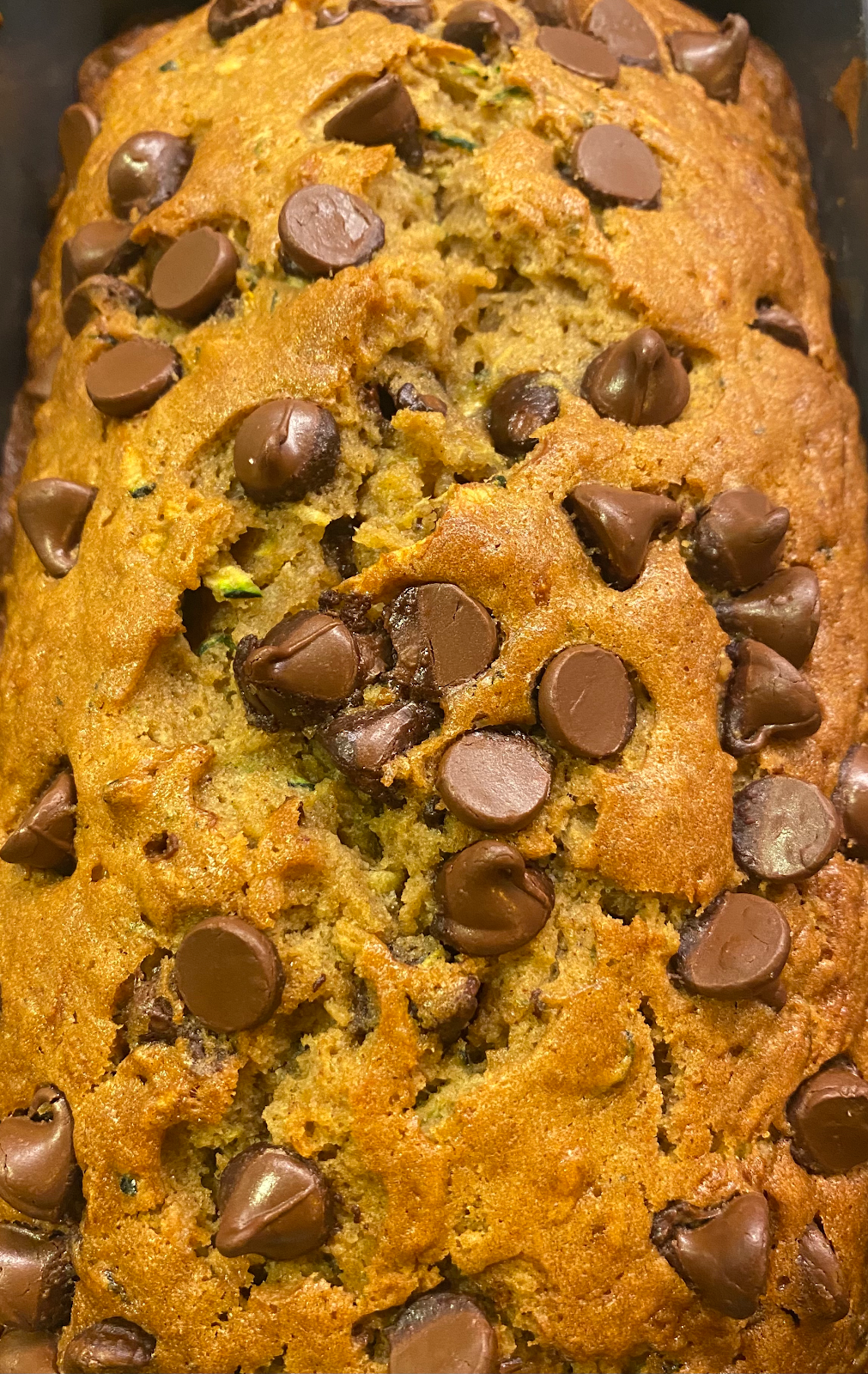 Reef Dog Deli | meal takeaway | 311 Capitola Ave, Capitola, CA 95062, United States | 8318542184 OR +1 831-854-2184