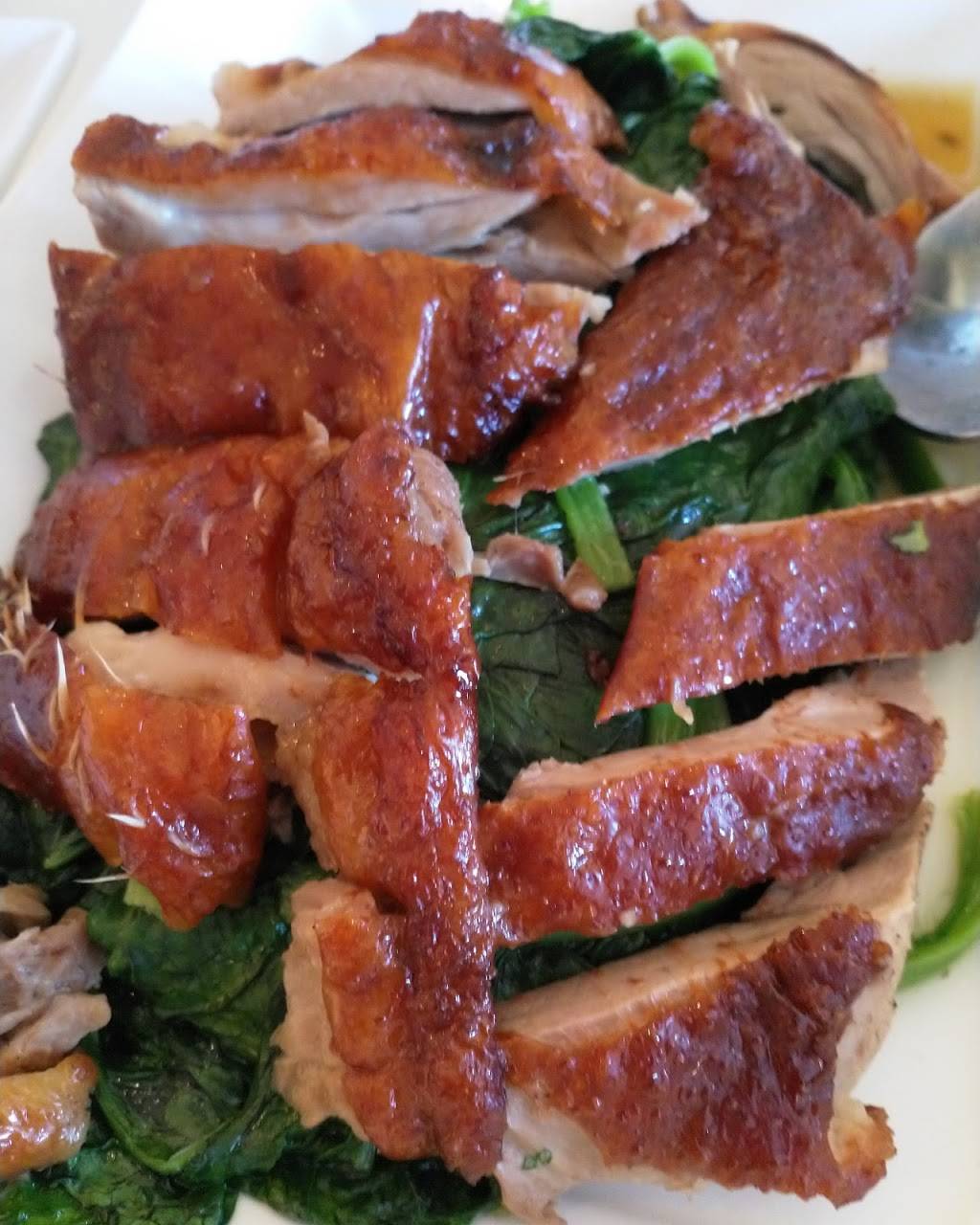 Thai Cafe | restaurant | 3407 Geary Blvd, San Francisco, CA 94118, USA | 4153864200 OR +1 415-386-4200