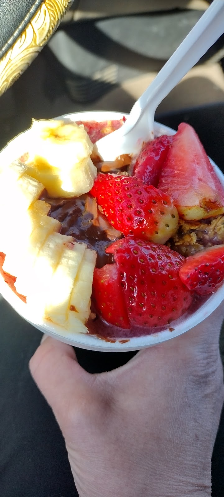 Red Mango | restaurant | 2900 S Casino Dr, Laughlin, NV 89029, USA | 7022983678 OR +1 702-298-3678