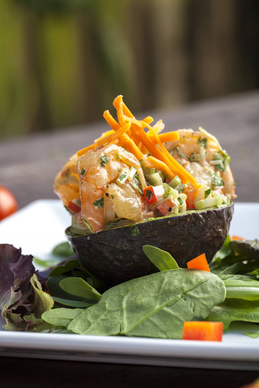 PurGreens | cafe | 45 NE 2nd Ave, Delray Beach, FL 33444, USA | 5612767387 OR +1 561-276-7387