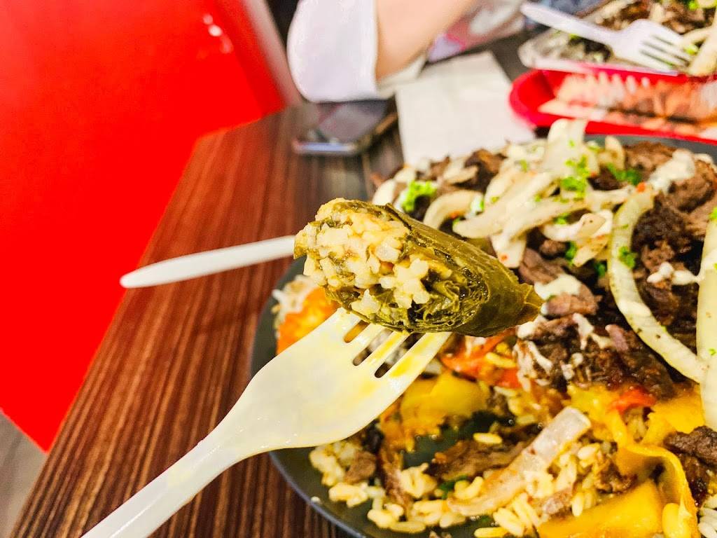 Amir | restaurant | 5773 Boul Gouin O, Montréal, QC H4J 1E3, Canada | 5143322647 OR +1 514-332-2647