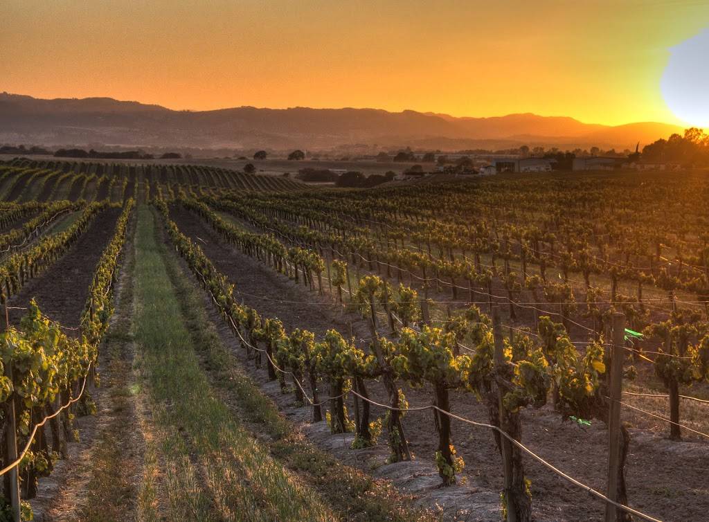 Broken Earth Winery | restaurant | 1650 Ramada Dr, Paso Robles, CA 93446, USA | 8052392562 OR +1 805-239-2562