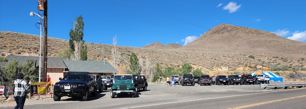 Rosies Place | restaurant | 2881 NV-208, Wellington, NV 89444, USA | 7754650041 OR +1 775-465-0041