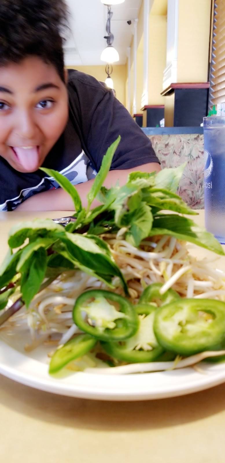 Pho Lucky - Novi | restaurant | 39777 Grand River Ave, Novi, MI 48375, USA | 2484429255 OR +1 248-442-9255