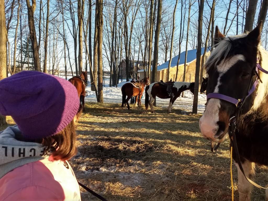 Cabane à Sucre DAmours | restaurant | 427 5e Ave, Sainte-Anne-des-Plaines, QC J0N 1H0, Canada | 4504781377 OR +1 450-478-1377