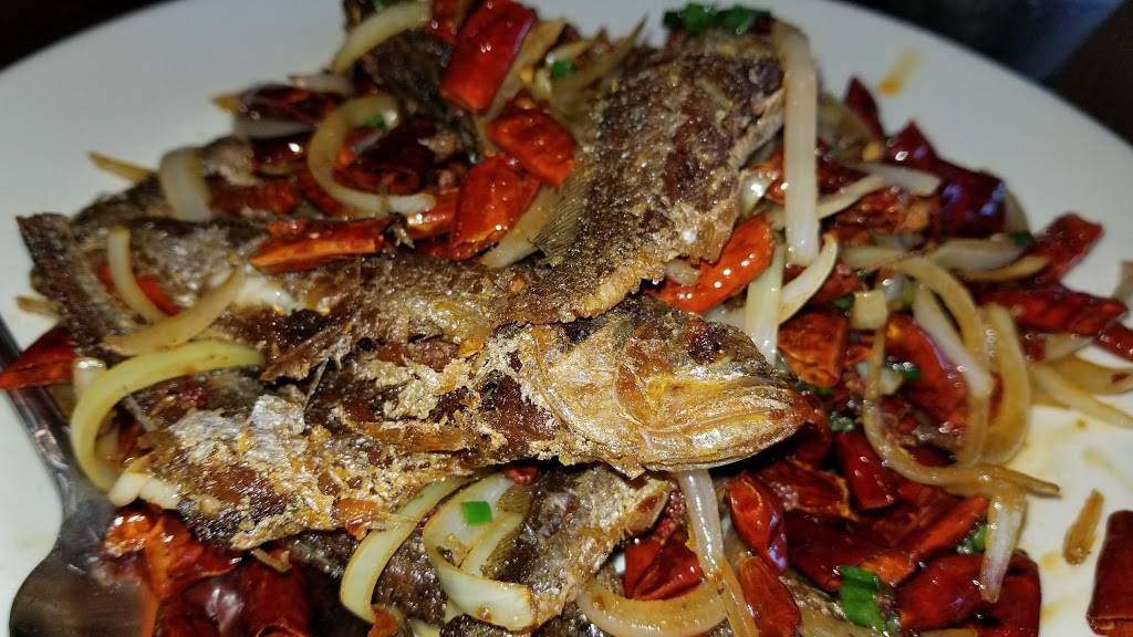 Hunan Bistro | restaurant | 9889 Bellaire Blvd, Houston, TX 77036, USA | 8329918609 OR +1 832-991-8609