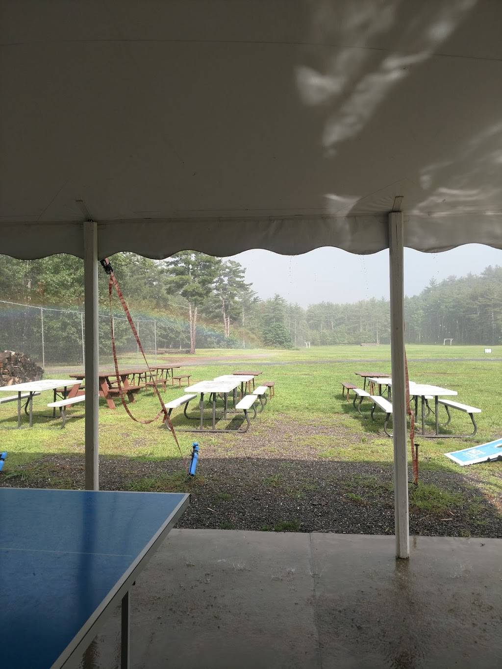 Nussys | restaurant | 57 Ravine Dr, Round Top, NY 12473, USA | 5186229584 OR +1 518-622-9584