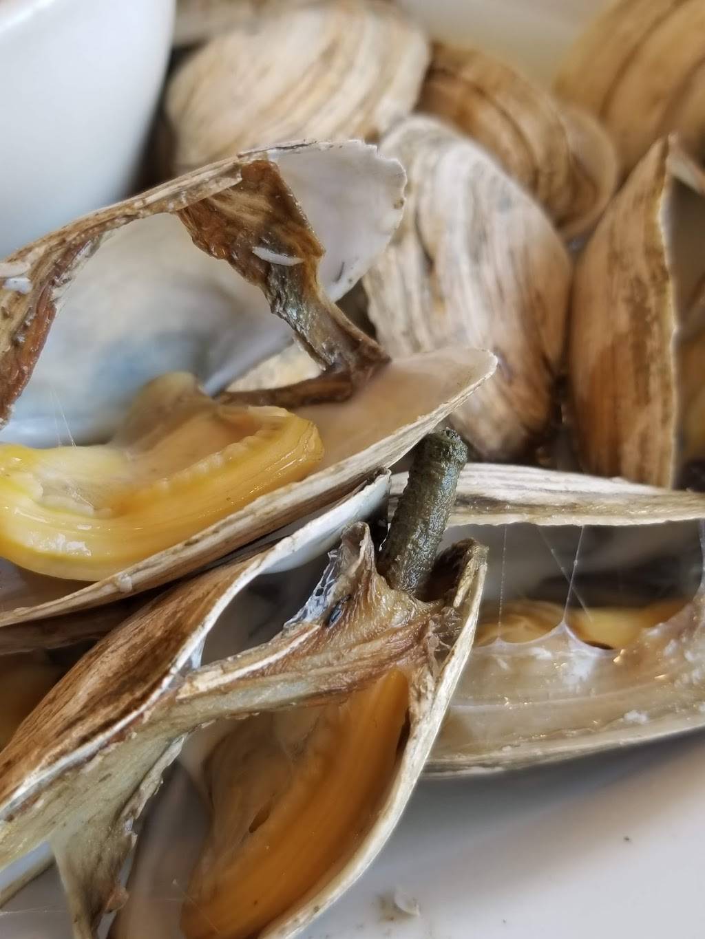 Johnsons Seafood and Steak | bakery | 69 NH-11, New Durham, NH 03855, USA | 6038597500 OR +1 603-859-7500