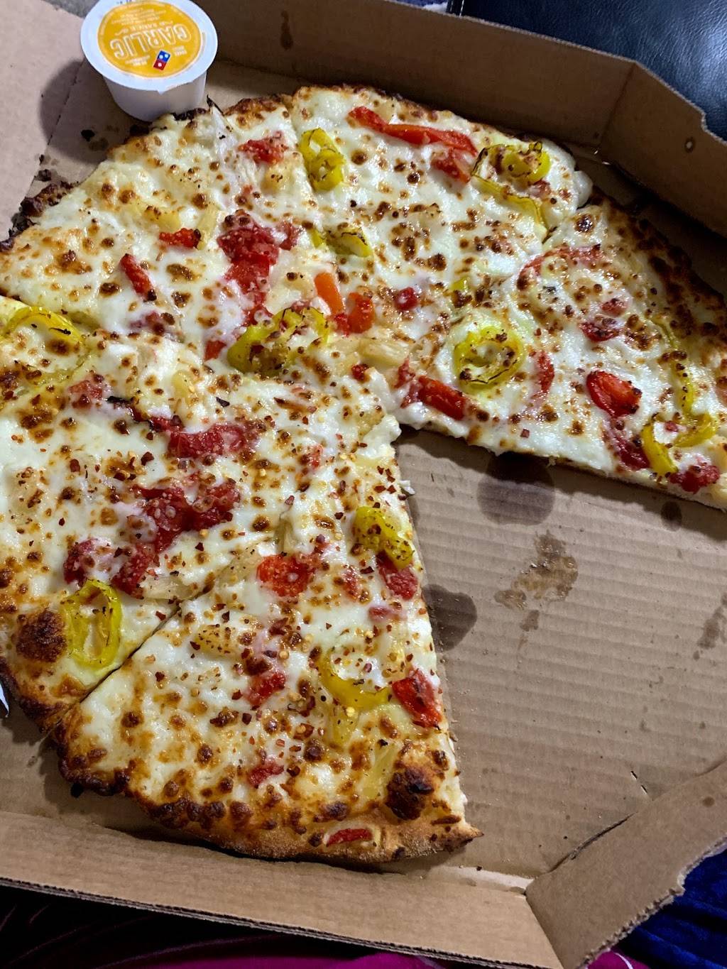 Dominos Pizza | meal delivery | 13993 Anderson Lakes Pkwy, Eden Prairie, MN 55344, USA | 9529493030 OR +1 952-949-3030