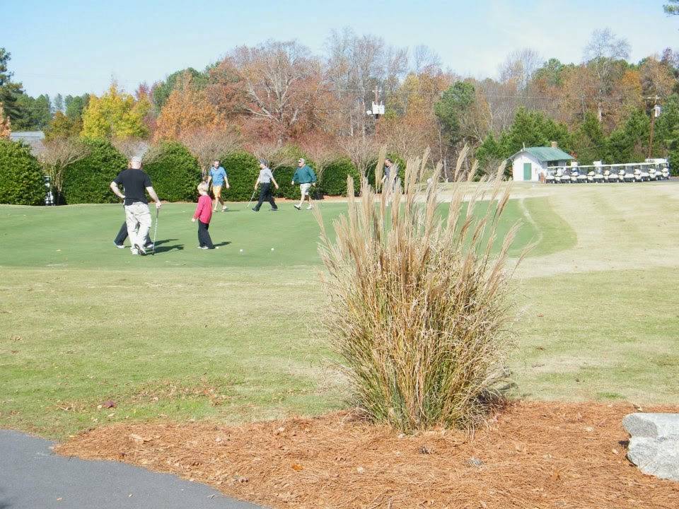 Pine Hollow Golf Club | meal takeaway | 3300 E Garner Rd, Clayton, NC 27520, USA | 9195534554 OR +1 919-553-4554