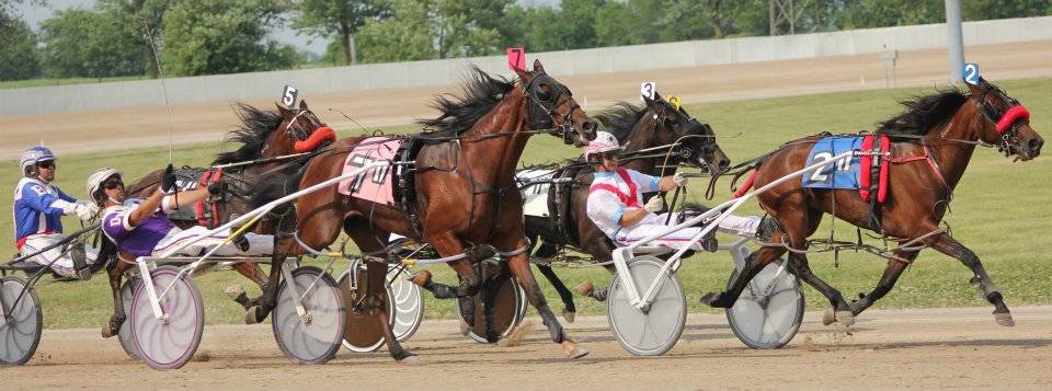 Eldorado Scioto Downs | restaurant | 6000 S High St, Columbus, OH 43207, USA | 6142954700 OR +1 614-295-4700