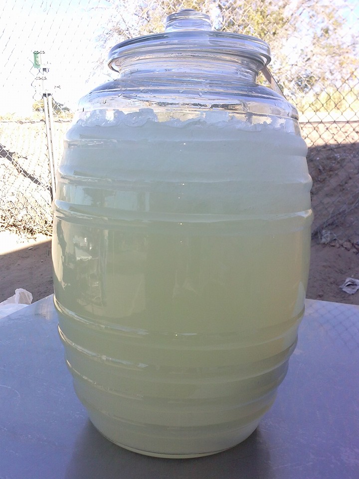 Lonches y hamburguesas LOS TOTONES | restaurant | Fox Plaza, El Paso, TX 79905, USA | 9157815892 OR +1 915-781-5892