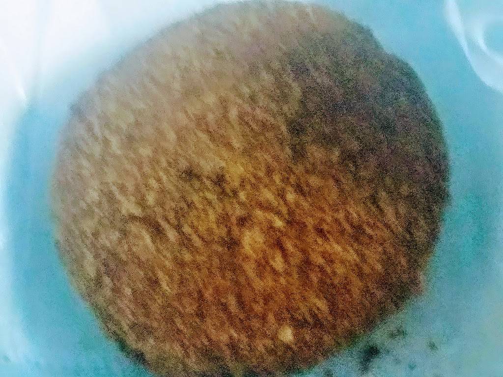 Big Fish & Seafood | restaurant | 26211 Eureka Rd, Taylor, MI 48180, USA | 7349411400 OR +1 734-941-1400