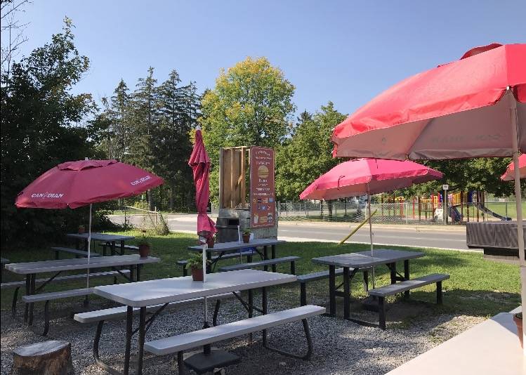 Fitzs Fries | restaurant | 1088 Bridge St, Manotick, ON K4M 1J2, Canada | 6138833743 OR +1 613-883-3743