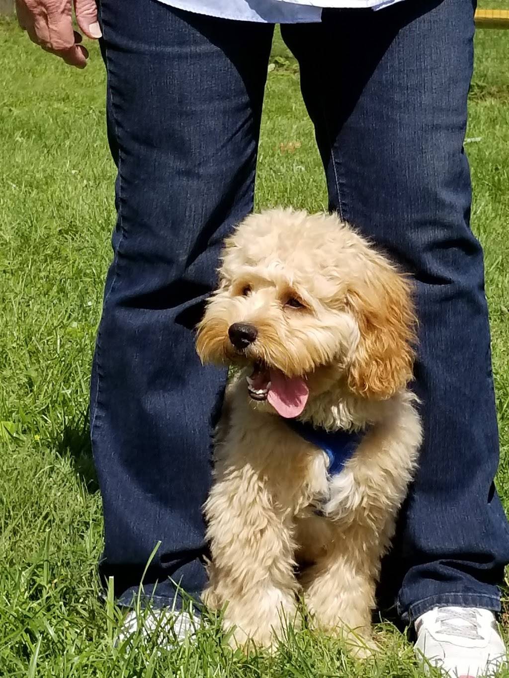 Austrian Village Bar & Restaurant | restaurant | 321 Huntingdon Pike, Jenkintown, PA 19046, USA | 2156639902 OR +1 215-663-9902