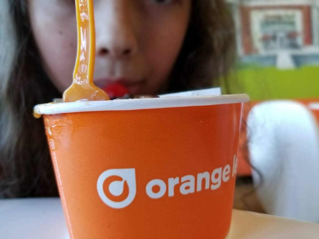 Orange Leaf Frozen Yogurt | restaurant | 1430 North Rochester Road, Rochester Hills, MI 48307, USA | 2487594890 OR +1 248-759-4890
