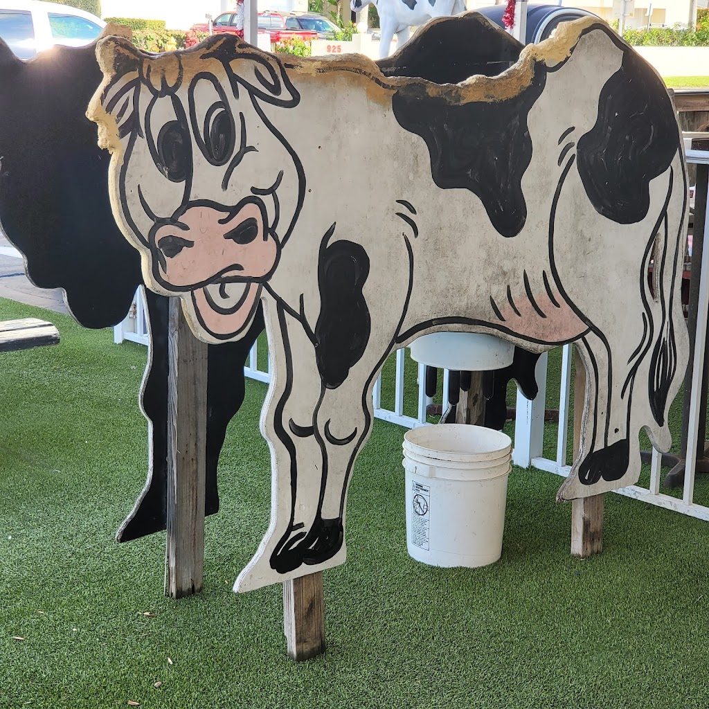 Moos Soft Serve | meal takeaway | 930 Florida A1A, Indialantic, FL 32903, USA | 3217234990 OR +1 321-723-4990