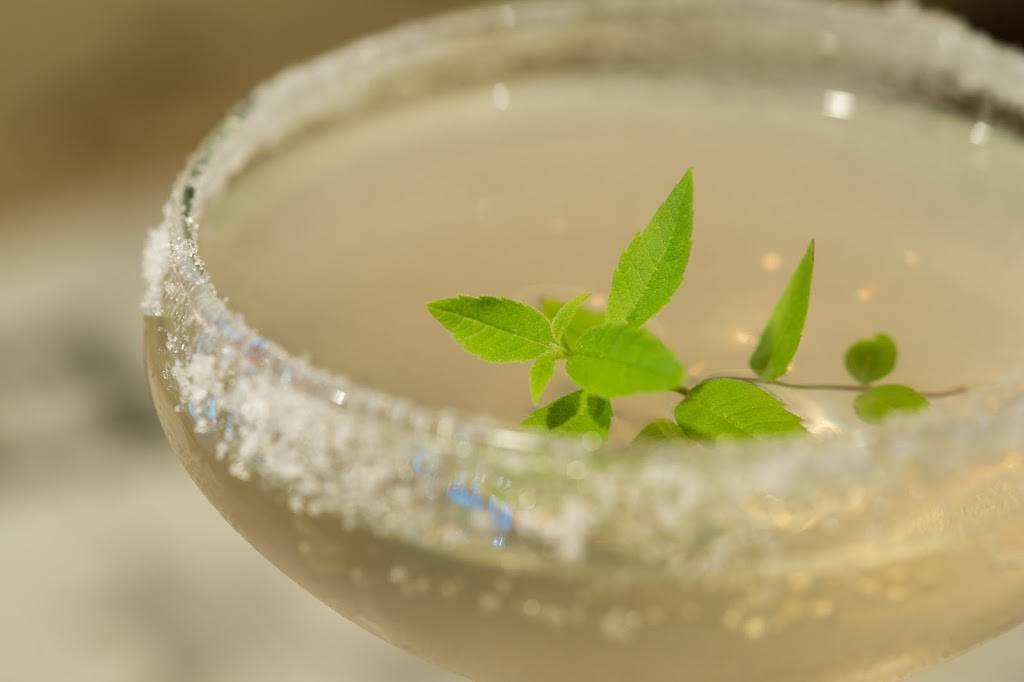 Brule Bistro | restaurant | 200 NE 2nd Ave, Delray Beach, FL 33444, USA | 5612742046 OR +1 561-274-2046