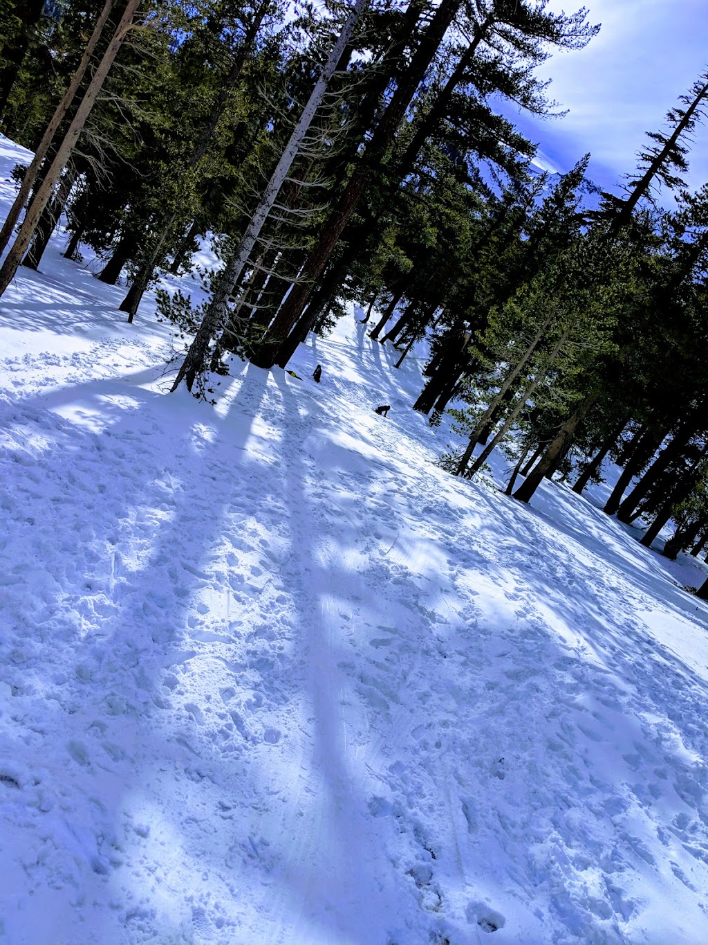 Woollys Tube Park & Snow Play | meal takeaway | 9000 Minaret Rd # 200, Mammoth Lakes, CA 93546, USA | 7609347533 OR +1 760-934-7533