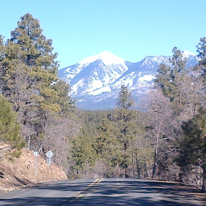 Jack in the Box | restaurant | 505 S Milton Rd, Flagstaff, AZ 86001, USA | 9287741723 OR +1 928-774-1723