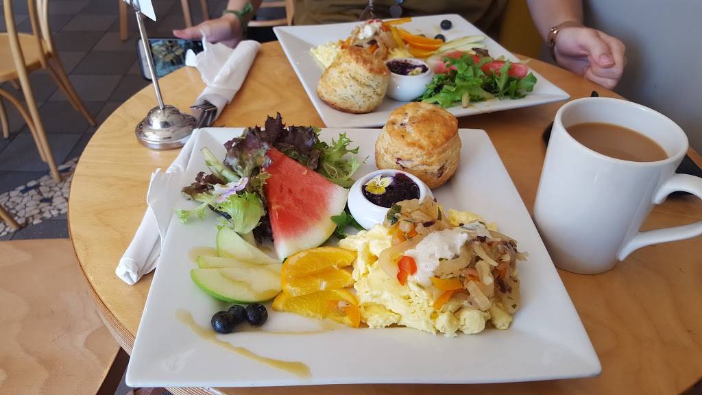 The SconeWitch (Beechwood) | restaurant | 35 Beechwood Ave, Ottawa, ON K1M 1M1, Canada | 6137414141 OR +1 613-741-4141