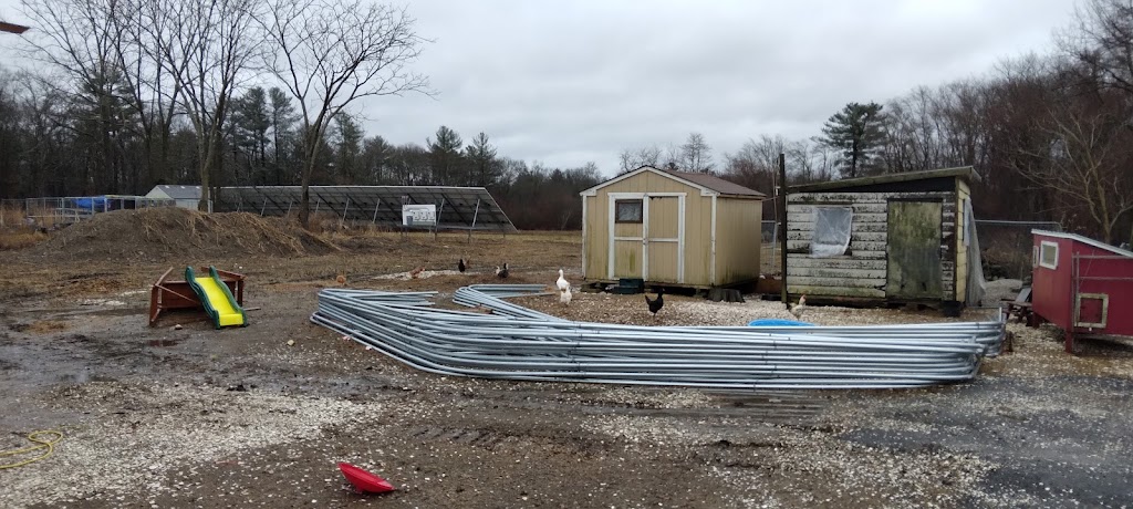 Bettencourt Dairy Farm | restaurant | 100 Simmons St, Rehoboth, MA 02769, USA | 5082525464 OR +1 508-252-5464