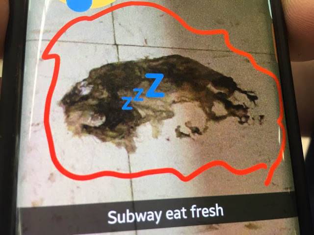 Subway | restaurant | 6244 Wilmington Pike, Centerville, OH 45459, USA | 9378484684 OR +1 937-848-4684