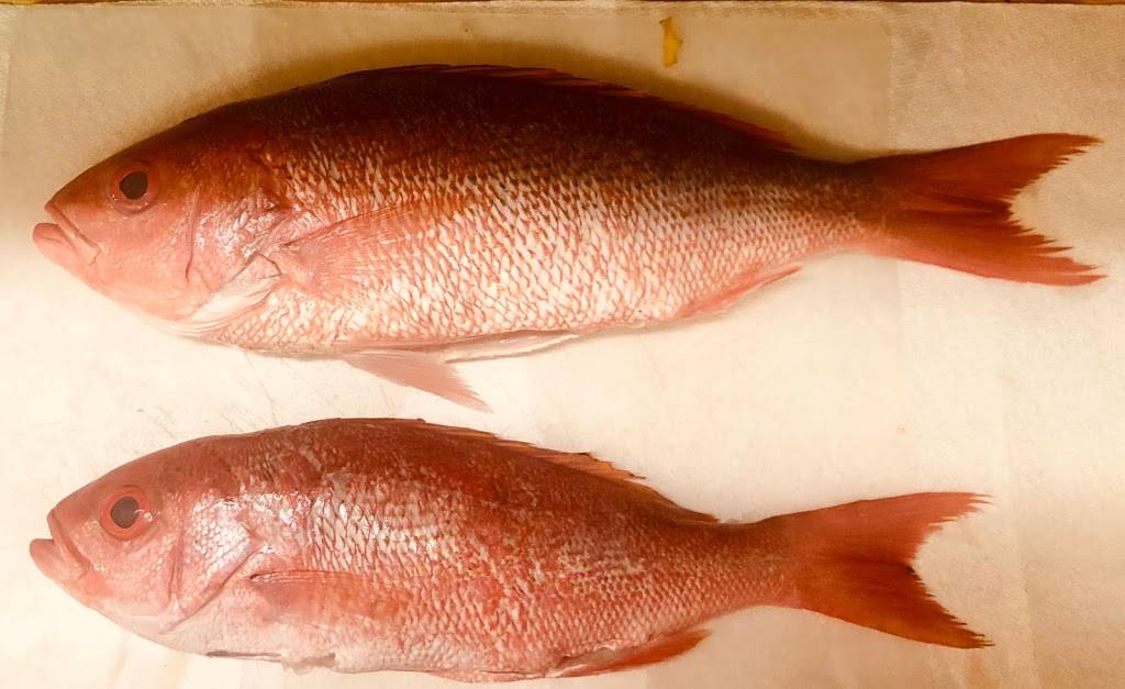 The Scratch Kitchen, Cortez, FL | restaurant | 8516 43rd Ave Terrace W, Bradenton, FL 34209, USA | 9413017124 OR +1 941-301-7124