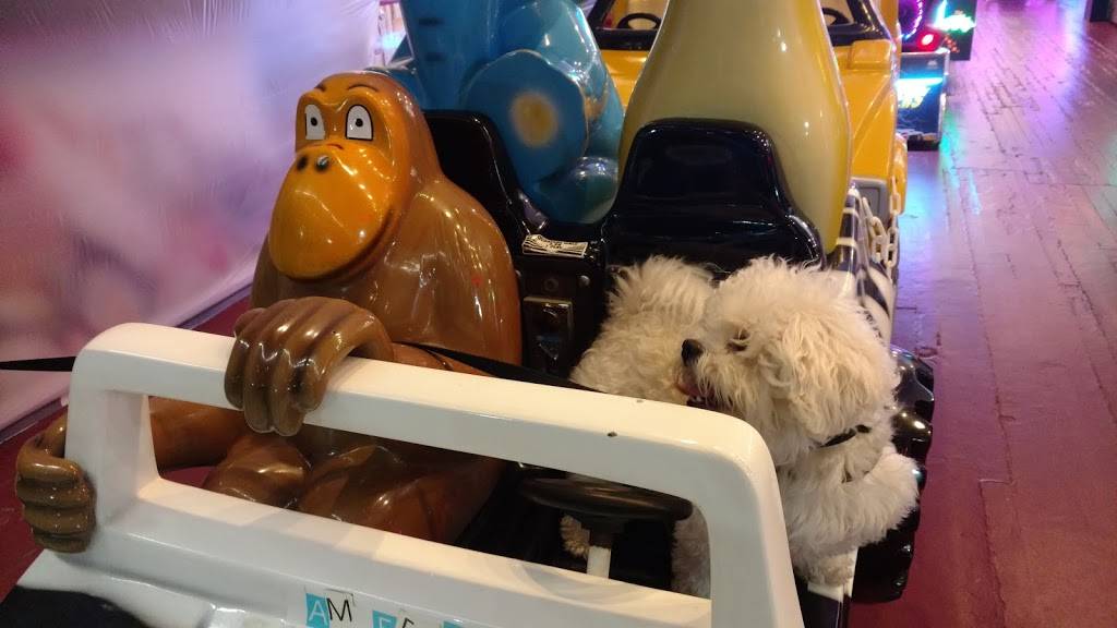 JiLLy’s Ice Cream Factory | restaurant | 1172 Boardwalk, Ocean City, NJ 08226, USA | 6093851234 OR +1 609-385-1234