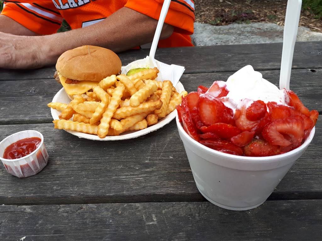 Dairy Freez | restaurant | 368 County Rd 34, Essex, ON N8M 2X5, Canada | 5198394703 OR +1 519-839-4703