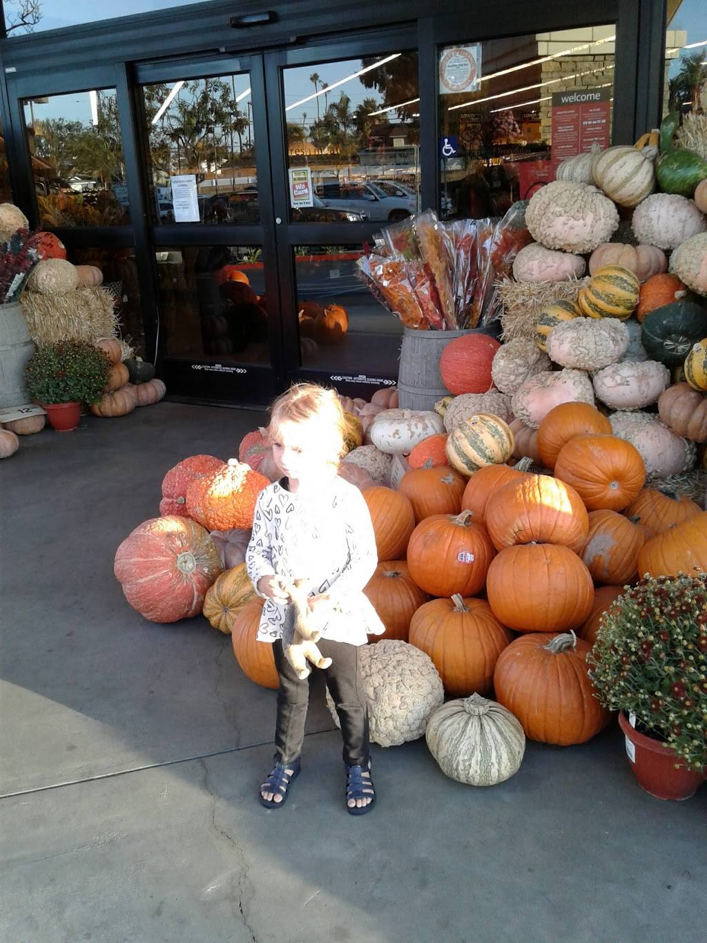 Seal Beach Center | shopping mall | 901-1101 Pacific Coast Hwy, Seal Beach, CA 90740, USA | 2135532200 OR +1 213-553-2200