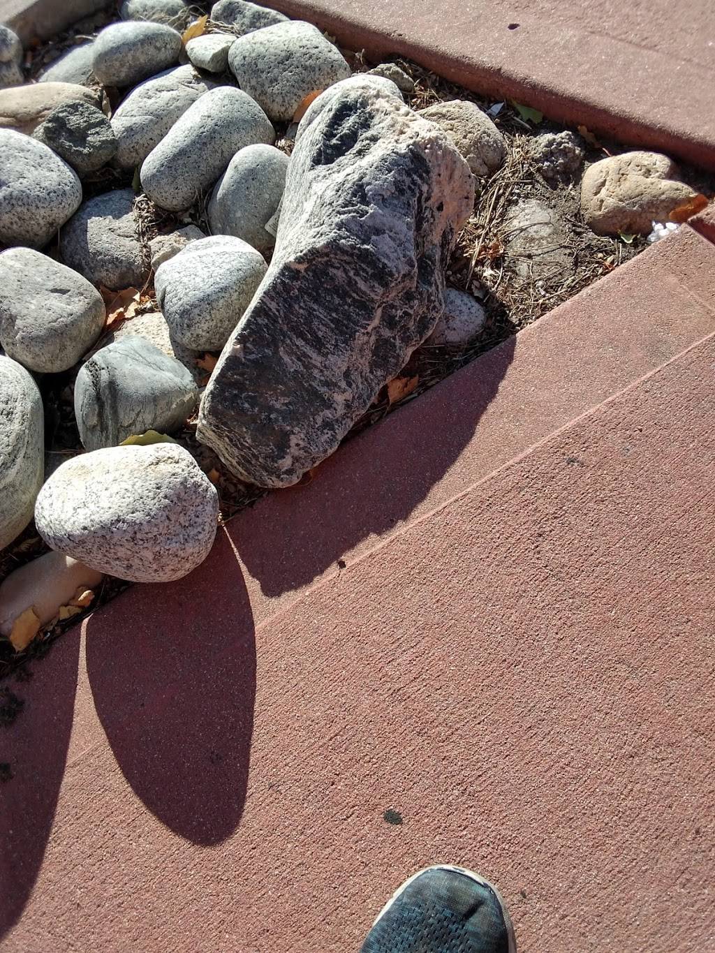 Good Times Burgers & Frozen Custard | restaurant | 1105 S Havana St, Aurora, CO 80012, USA | 3037506544 OR +1 303-750-6544