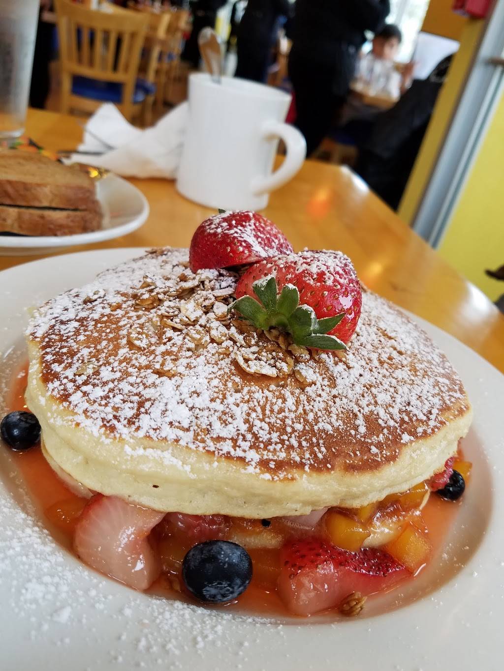 Alexanders Breakfast & Lunch | restaurant | 5025 Oakton St, Skokie, IL 60077, USA | 2242517492 OR +1 224-251-7492