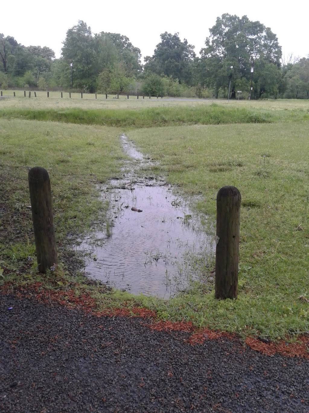 Lone Star Grill | restaurant | 13450 TX-7, Joaquin, TX 75954, USA | 9362699665 OR +1 936-269-9665