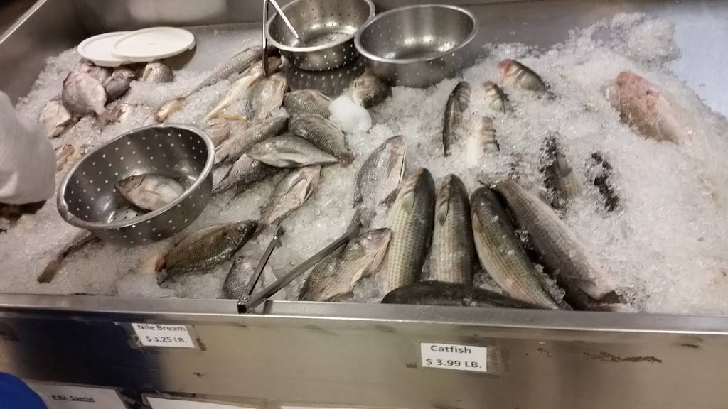 Augusta Fish Market & Restaurant | restaurant | 1843 Walton Way, Augusta, GA 30904, USA | 7063641588 OR +1 706-364-1588