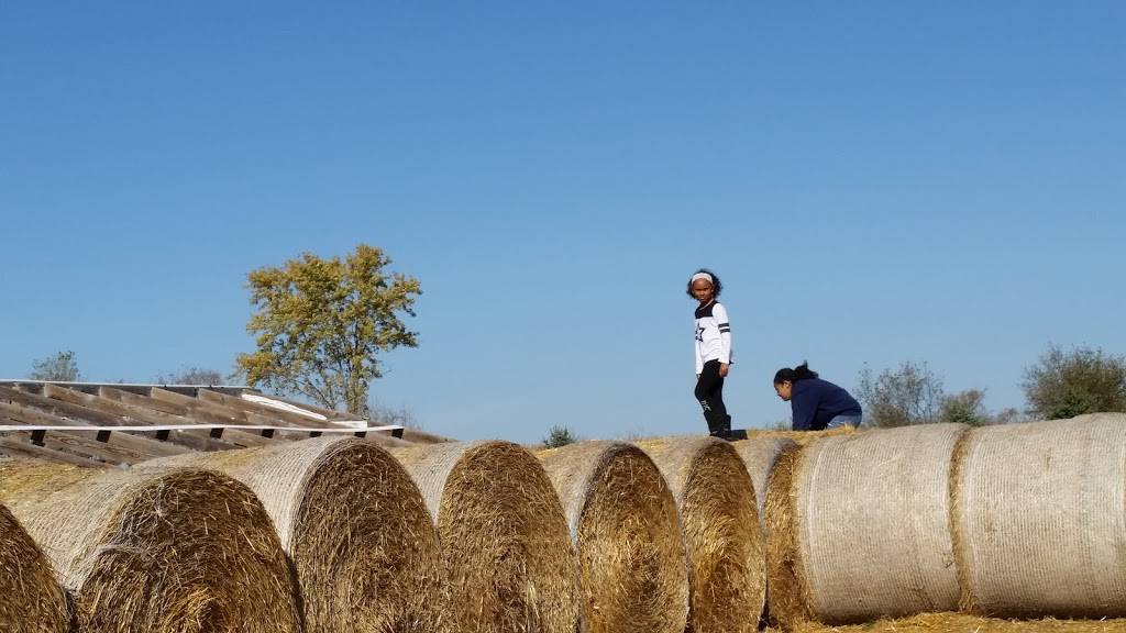 Happ-E-Hill Pumpkin Farm | restaurant | N4380 WI-35, Prescott, WI 54021, USA | 7157922676 OR +1 715-792-2676