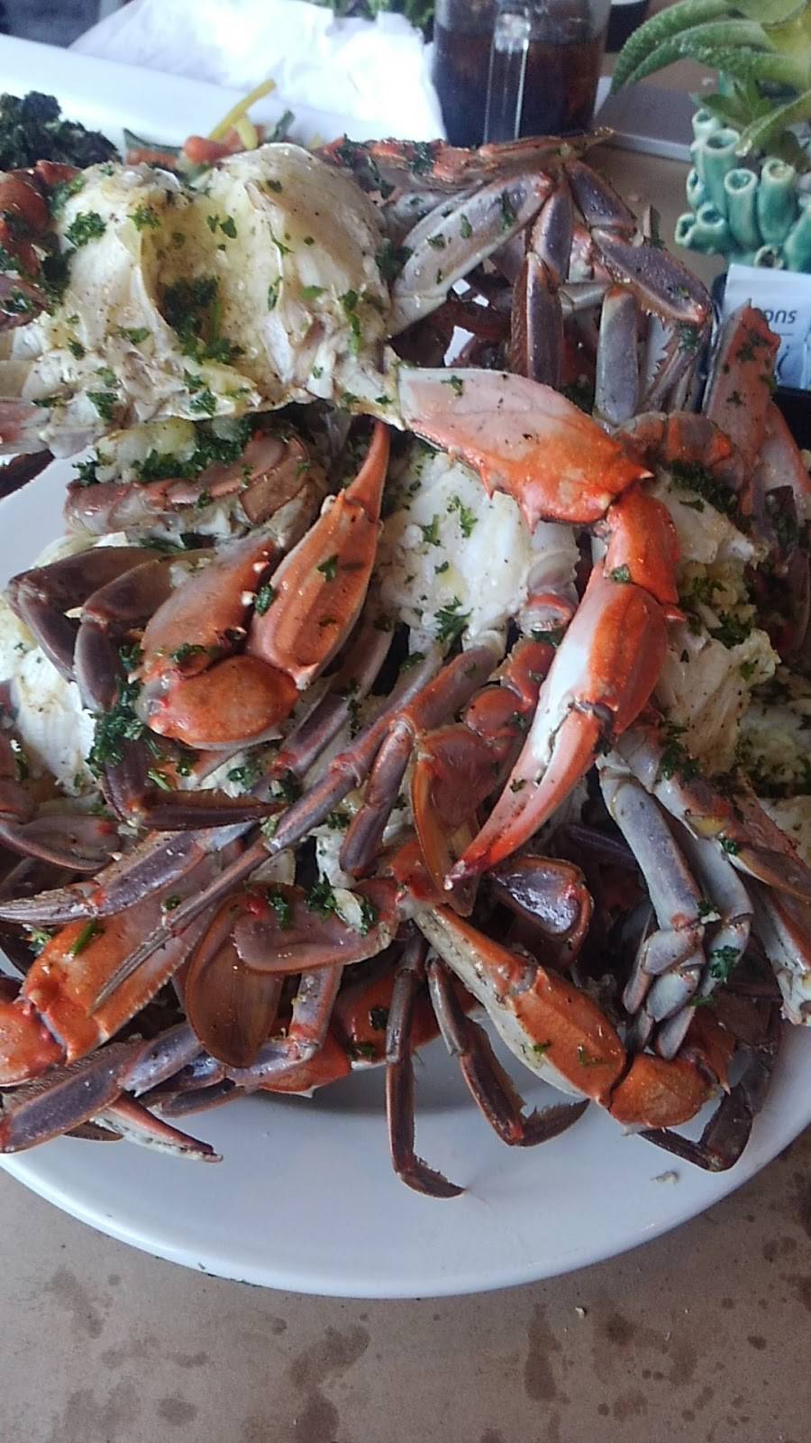 Bait Box Restaurant | restaurant | 30 Hancock Harbor Rd, Greenwich, NJ 08323, USA | 8564552610 OR +1 856-455-2610