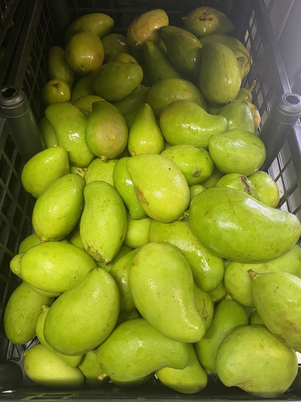 La Centroamericana Restaurant | restaurant | 1222 NW 24th St, San Antonio, TX 78207, USA | 2102579798 OR +1 210-257-9798