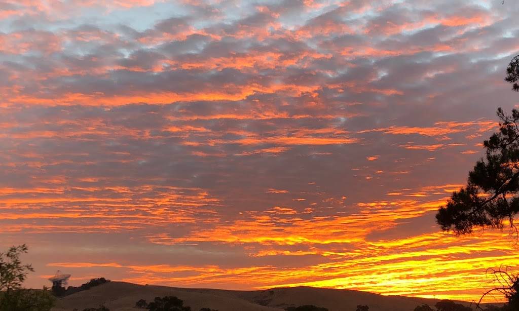 Chef Kwans | restaurant | 630 Menlo Ave, Menlo Park, CA 94025, USA | 6503224631 OR +1 650-322-4631