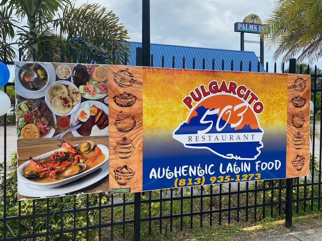 Pulgarcito 503 Restaurant | restaurant | 701 E Fletcher Ave, Tampa, FL 33612, USA | 8139351273 OR +1 813-935-1273
