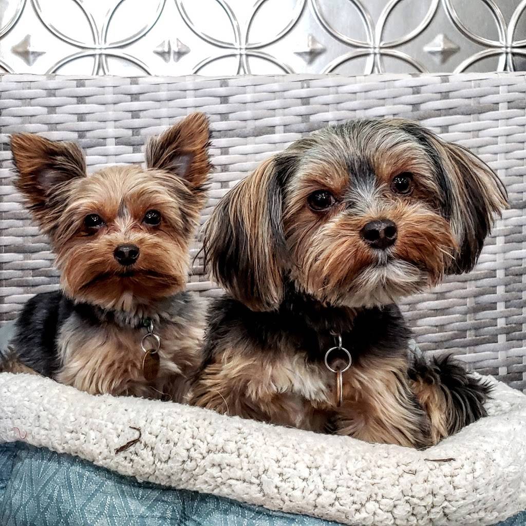 Pickles Playland | restaurant | 12669 NE 85th St, Kirkland, WA 98033, USA | 4252984530 OR +1 425-298-4530